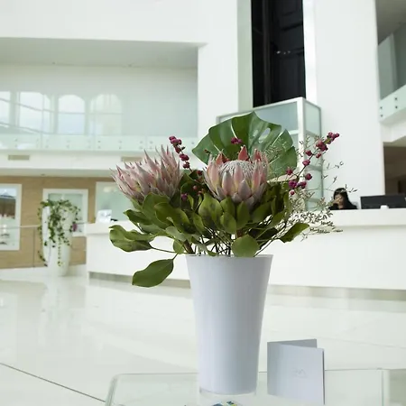 Smeraldo & Σαν Μπενεντέτο ντελ Τρόντο